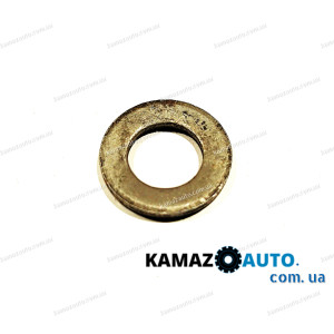 Шайба болта головки цилиндров КамАЗ / 870648 (16х30х3) (ОАО КамАЗ)